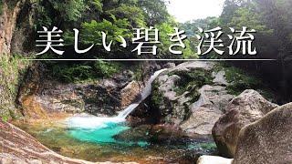 【美しすぎる渓流】大滝だらけの岩山渓流の上流域と下流域を冒険する【渓流釣り】