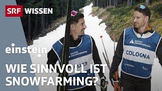 Snowfarming: Retten wir mit altem Schnee bald die weissen Weihnachten? | Einstein | SRF