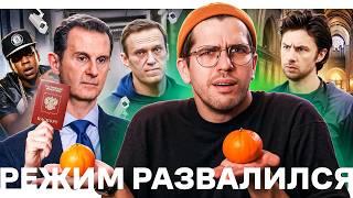 Россия простила Талибов // Асад сбежал из Сирии // Слежка за Навальным