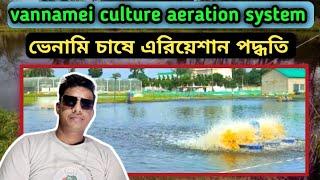 Vannamei culture aeration system ।।। ভেনামি চাষে এরিয়েশান পদ্ধতি ।।।