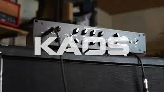 KAOS amp - 1 watt HatreD custom (pre)amp