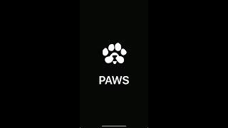 PAWS TASKS VOTE. КАК ВЫПОЛНИТЬ?