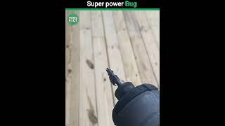 Super power Bug 