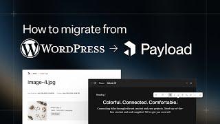 How to migrate from Wordpress to Payload