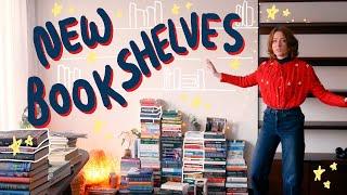 creating the bookshelves of my dreams 