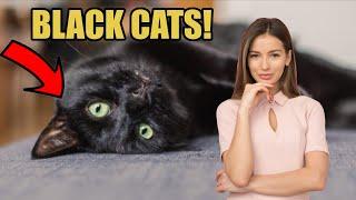 Top Facts About BLACK Cats! (You Have To Know This)