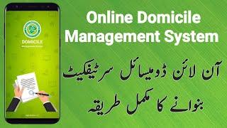 Apply for Domicile online On mobile || Process for Applying online domicile || Online Domicile App
