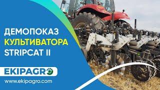 ДЕМОПОКАЗ КУЛЬТИВАТОРА STRIPCAT II ПО ТЕХНОЛОГІЇ STRIP-TILL У МИКОЛАЇВСЬКІЙ ОБЛАСТІ