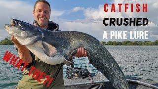 NEVER SEEN BEFORE: Catfish CRUSHES a pike lure! 