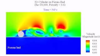 Vorticity shedding around a 2D cylinder under current