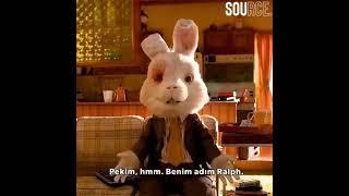 save ralph rabbit - ödüllü kısa film