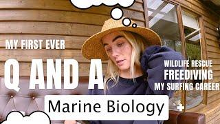 Q and A // Freediving, Marine Biology, Surfing, Wildlife Care, I answer your questions !