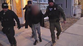 'This is only the beginning': ICE begins targeted deportation raids in Chicago; 'border czar' visits