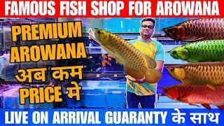 PREMIUM AROWANA अब कम PRICE मे | Famous Fish Shop For Arowana | Asia Aquarium And Pets Kalyan