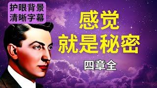 《感觉就是秘密》有声书（全）｜纳维尔戈达德｜假设法则｜听书｜带大体字幕