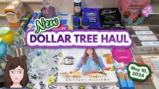 New DOLLAR TREE Haul!  Awesome Finds!!  May 10, 2024! #dollartree