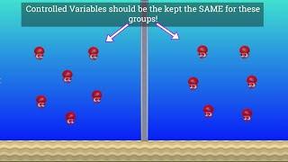 Variables in Science: Independent, Dependent and Controlled!