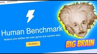 I Am Better Than You At Life - (Human Benchmark Test)