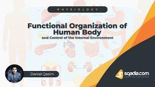 Functional Organization of the Human Body and Control | Physiology Lecture | V-Learning™