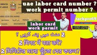 how to get uae labor card number by passport number / labor card number uae / dubai visa labor