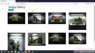 Larvel Upload Multiple Images Create Gallery