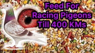 Mix Feed for Pigeons | Racing Pigeons Feed | Kalapati