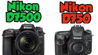 Nikon D7500 vs Nikon D750