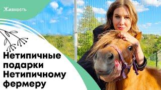 Нетипичные подарки - Нетипичному фермеру на день рождения