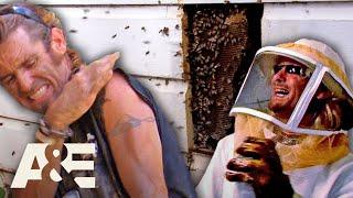 Billy's Biggest BEE Battles! - Part 2 | Billy the Exterminator | A&E