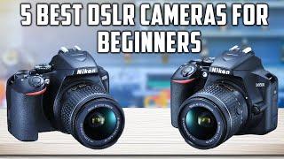 Top 5 Best DSLR Cameras For Beginners in 2024