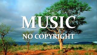 Music No Copyright 0080