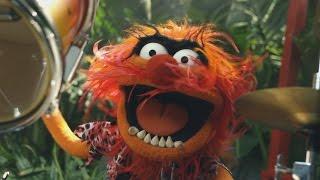 Jungle Boogie | Muppets Music Video | The Muppets