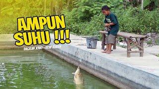 BOCAH CILIK MANCING UGAL-UGALAN || DAGELAN JOWO New 35 - Ucup Klaten