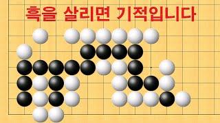 바둑 묘수 사활 - 상상도 못했을 묘수를 찾아보세요. 흑을 살리면 기적입니다