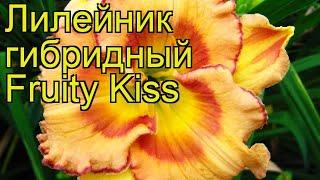 Лилейник гибридный Фруктовый Поцелуй. Краткий обзор, описание hemerocallis hybrida Fruity Kiss