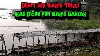 GEGER..!!! SPOT PINGGIRAN JADI BURUAN, TERNYATA BANYAK JUGA IKANNYA - MANCING CIRATA 2025