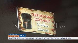 Смотрите сегодня в 19.00 в программе "Кстати": Ротвейлеры напали на ребенка в Вознесенском районе