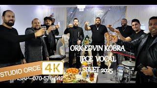 Ork Edvin Kobra New Splet ipce Vocal  █▬█ █ ▀█▀  2025 STUDIO ORCE 4K COVER