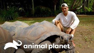 Frank visita dois importantes santuários de vida selvagem | Wild Frank | Animal Planet Brasil