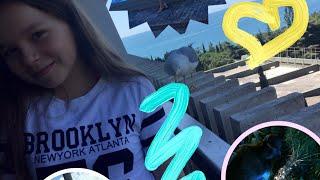 VLOG:Hotel YALTA-INTOURIST⭐️⭐️⭐️⭐️