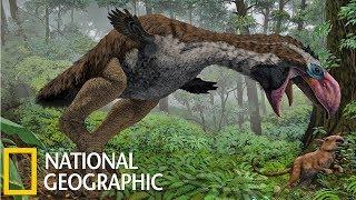 Доисторические хищники: Хищные птицы-ящеры (National Geographic HD)