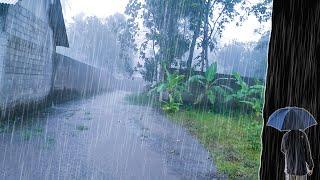 Scenic Walking Video of Super Heavy Rain in Village | ASMR Rain Sounds