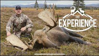 The Deltana Experience - Giant Alaskan Moose with Dan Catlin