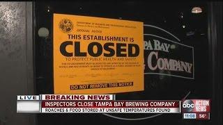 Dirty Dining: Ybor City restaurant closed twice in three days for live roaches in food prep area