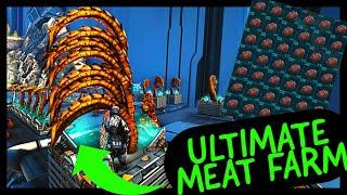 ULTIMATE MEAT FARM GUIDE! HOW TO NEVER DO A MEAT RUN AGAIN! R SPECIES FTW!!!!