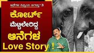 EP-3  ಕುಶಾ ಕೀ ಕಹಾನಿ | ಮನುಷ್ಯರಿಗೆ ಅರ್ಥವಾಗದ ಪ್ರೇಮಕಥೆ | Elephant story | Ramesh Uthappa | GSS MAADHYAMA