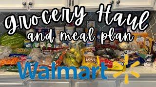 Weekly Walmart Budget Grocery Haul and Meal Plan!  New Planner & New Electric Cheese Grater!