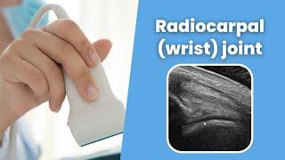 Radiocarpal (wrist) joint - MSKUS - How to scan the Radiocarpal (wrist) joint - 2 minute Tuesday