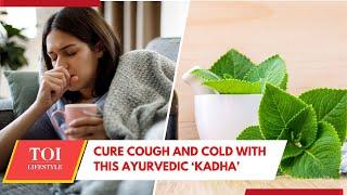 Monsoon Cold & Cough? Try This Indian Borage Leaf & Turmeric Drink For Instant Relief