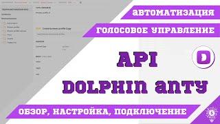 API Dolphin Anty. Голосовое управление, Настройка, Автоматизация Selenium. 2022